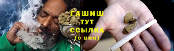 МДПВ Алзамай