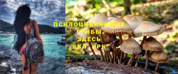 МДПВ Алзамай