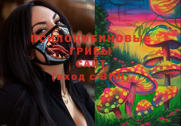 МДПВ Алзамай