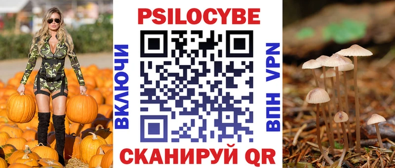 Галлюциногенные грибы Psilocybe это наркотические препараты Жуков